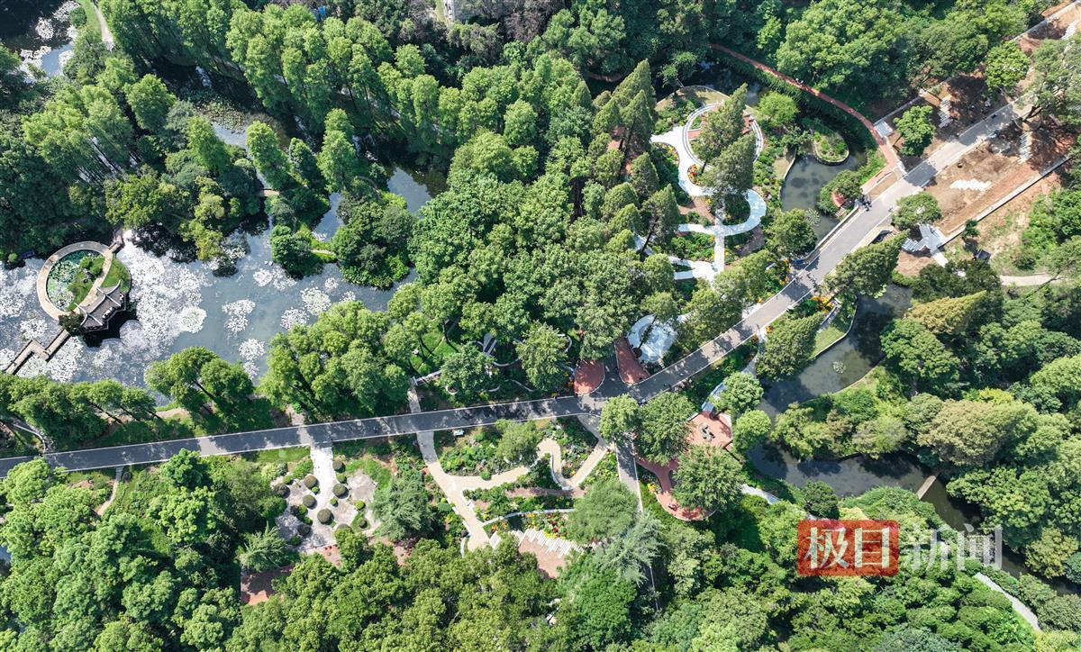 金沙赌埸网址